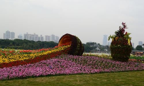 广州海珠湖湿地公园的春天,风景美如画更如诗.