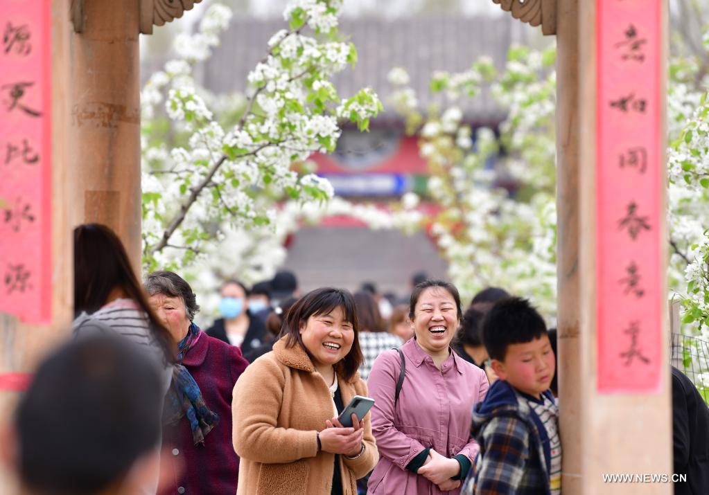 Tourists stroll among the blooming pear trees during a pear blossom festival in Qian'an City, north China's Hebei Province, April 11, 2021. A pear blossom festival kicked off here on Sunday. (Xinhua/Li He)