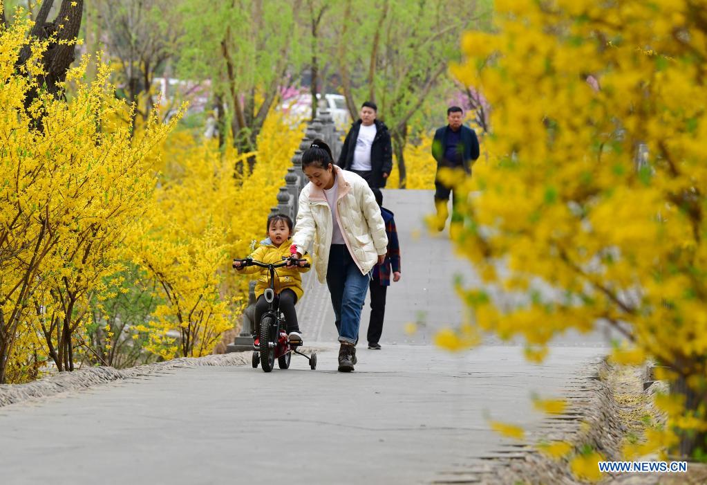 Tourists enjoy flowers at Huangtaishan Park in Qian'an City, north China's Hebei Province, April 11, 2021. Flowers are in full bloom in Huangtaishan Park, attracting many tourists. (Xinhua/Li He)