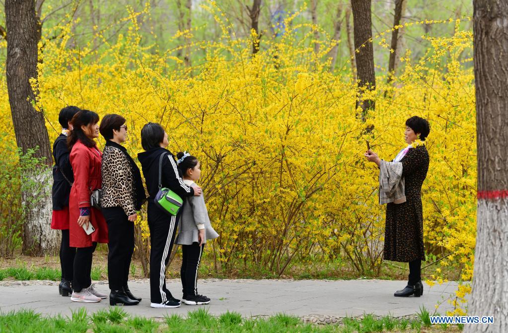 Tourists pose for a photo at Huangtaishan Park in Qian'an City, north China's Hebei Province, April 11, 2021. Flowers are in full bloom in Huangtaishan Park, attracting many tourists. (Xinhua/Li He)