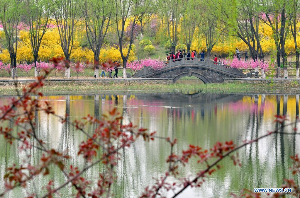 Tourists enjoy flowers at Huangtaishan Park in Qian'an City, north China's Hebei Province, April 11, 2021. Flowers are in full bloom in Huangtaishan Park, attracting many tourists. (Xinhua/Li He)