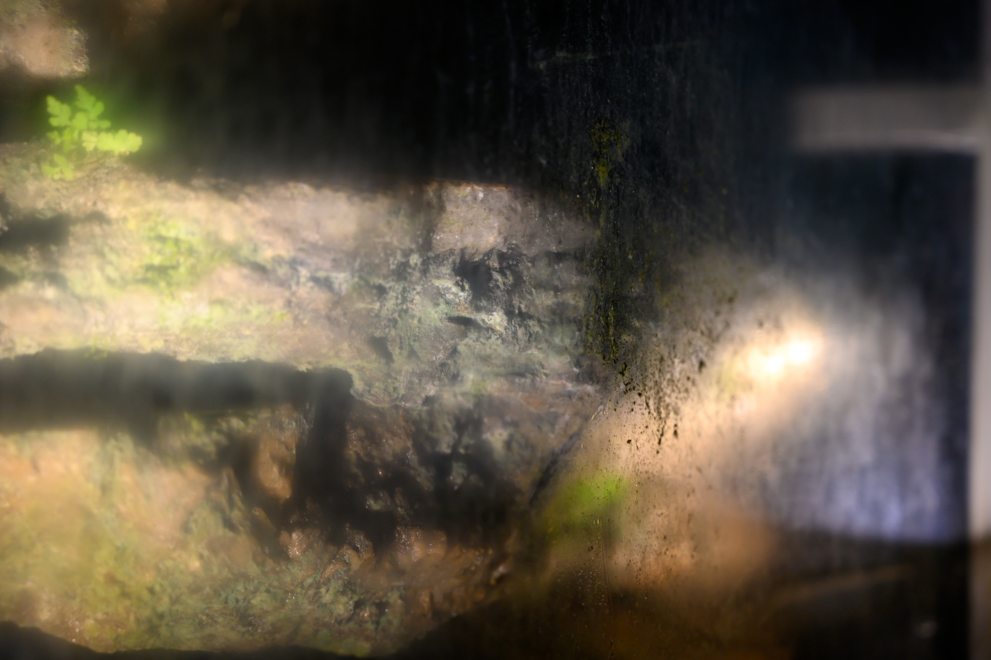 杭州桐庐有一处鬼斧神工的仙境，堪称全国诸洞之冠