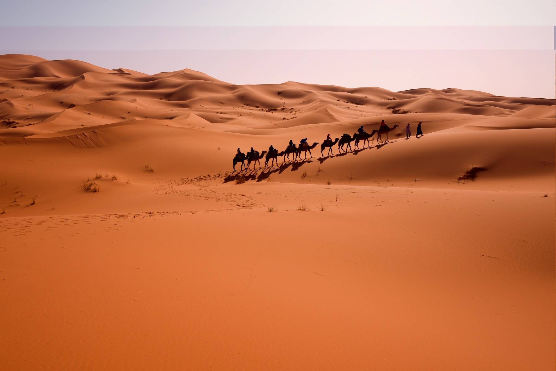 领略大漠之美：盘点地球上10个景色壮观的沙漠，中国一处上榜！_世界