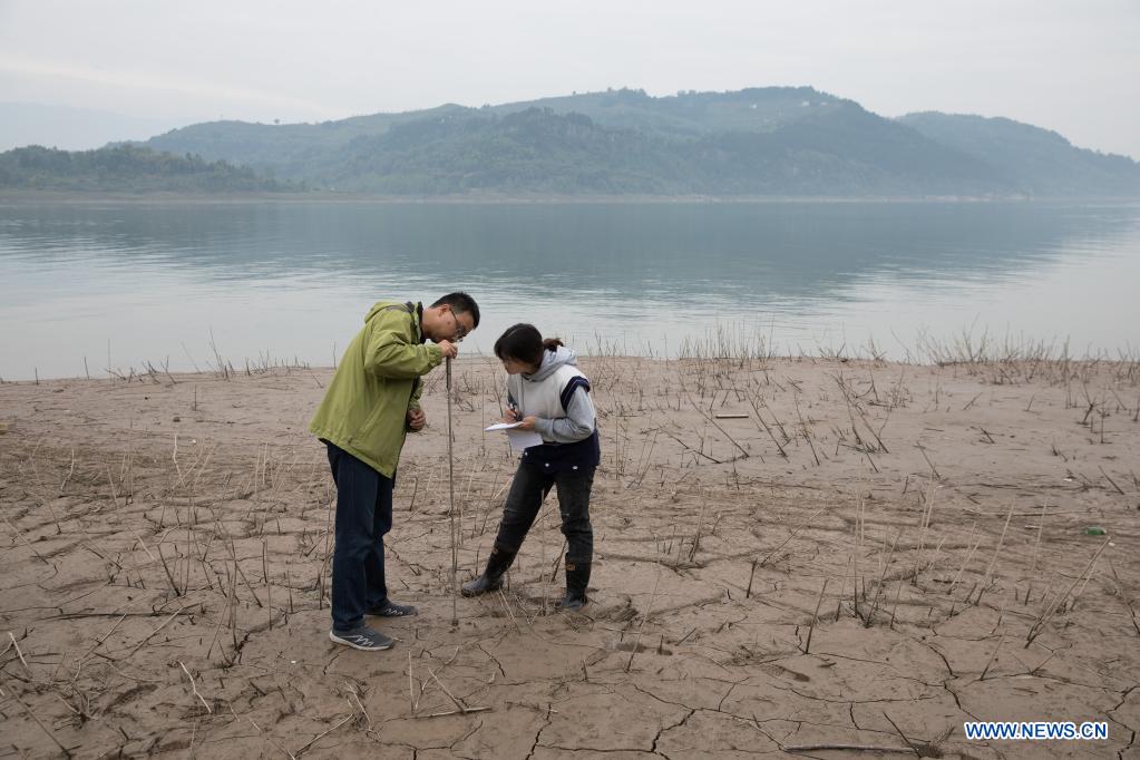 Researchers monitor the soil condition at water level fluctuation zone of the Three Gorges Reservoir in Zhongxian County, southwest China's Chongqing, April 10, 2021. The Three Gorges project is a vast multi-functional water-control system on the Yangtze River, China's longest waterway, with a 2,309-meter-long and 185-meter-high dam. The water levels of the reservoir area inevitably fluctuate on an annual discharge-storage cycle between 145m to 175m at the dam. The water level fluctuation zone also encounters some eco-environmental problems, including soil erosion and non-point source pollution. Researchers of the Institute of Mountain Hazards and Environment, Chinese Academy of Sciences (CAS) have conducted comprehensive investigations on soil, plants, hydrology, water quality and sediment in the area. Their study has important implications on better running the function of the Three Gorges Reservoir and the safety of local ecological environment. (Xinhua/Jin Liwang)