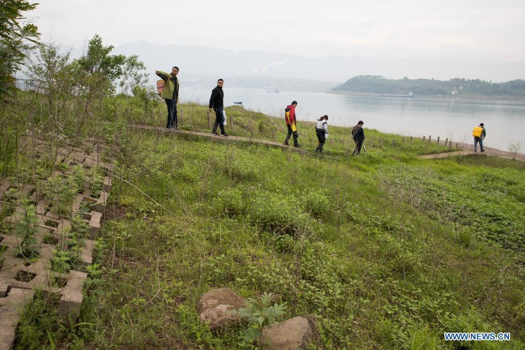 Researchers are seen at water level fluctuation zone of the Three Gorges Reservoir in Zhongxian County, southwest China's Chongqing, April 10, 2021. The Three Gorges project is a vast multi-functional water-control system on the Yangtze River, China's longest waterway, with a 2,309-meter-long and 185-meter-high dam. The water levels of the reservoir area inevitably fluctuate on an annual discharge-storage cycle between 145m to 175m at the dam. The water level fluctuation zone also encounters some eco-environmental problems, including soil erosion and non-point source pollution. Researchers of the Institute of Mountain Hazards and Environment, Chinese Academy of Sciences (CAS) have conducted comprehensive investigations on soil, plants, hydrology, water quality and sediment in the area. Their study has important implications on better running the function of the Three Gorges Reservoir and the safety of local ecological environment. (Xinhua/Jin Liwang)