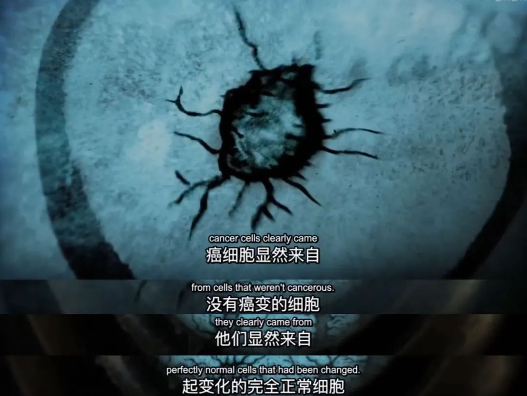 豆瓣9.3,救命片,没时间也要看! 豆瓣9.3,救命片,没时间也要看!