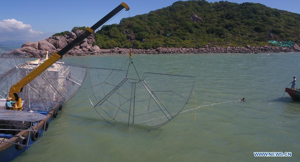 Aerial photo taken on Nov. 18, 2020 shows a diver helping to drop a reef-like artificial coral reef nursery into the sea Yazhou Bay in Sanya, south China's Hainan Province. The ecological restoration demonstration in Yazhou Bay has achieved initial effects. The project is proposed based on the urgent need for the restoration of Hainan coastal ecosystem. Researchers carry out systematic ecological restoration activities for the coral reef ecosystem around Dongluo Island. Thanks to researchers' work, the survival rate of coral has reached more than 70 percent. And the coral coverage rate has increased by 10 percent. (Xinhua/Yang Guanyu)