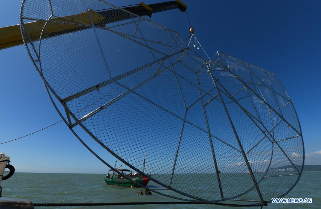 A crane drops a reef-like artificial coral reef nursery into sea of Yazhou Bay in Sanya, south China's Hainan Province, Nov. 18, 2020. The ecological restoration demonstration in Yazhou Bay has achieved initial effects. The project is proposed based on the urgent need for the restoration of Hainan coastal ecosystem. Researchers carry out systematic ecological restoration activities for the coral reef ecosystem around Dongluo Island. Thanks to researchers' work, the survival rate of coral has reached more than 70 percent. And the coral coverage rate has increased by 10 percent. (Xinhua/Yang Guanyu)