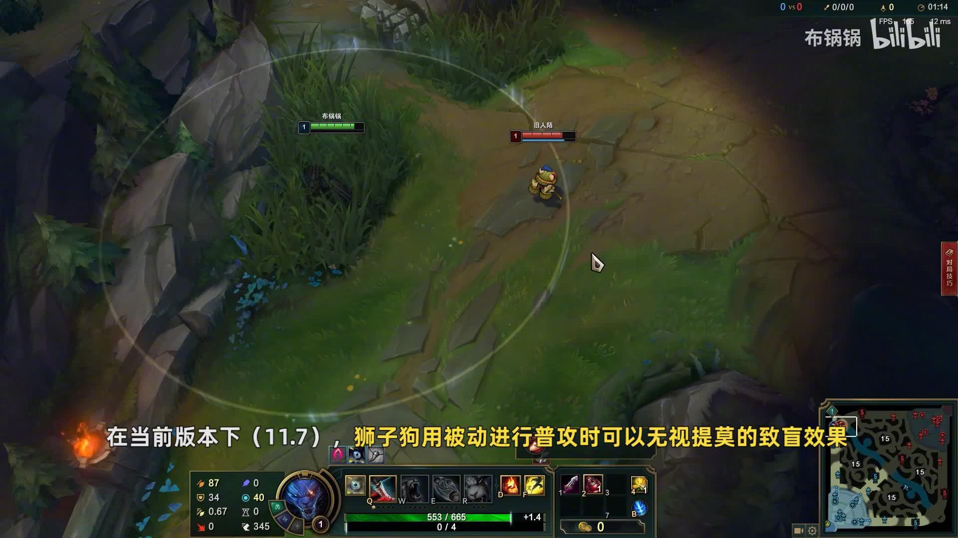 请修复它:狮子狗竟然能无视致盲!千珏千万不要q闪!