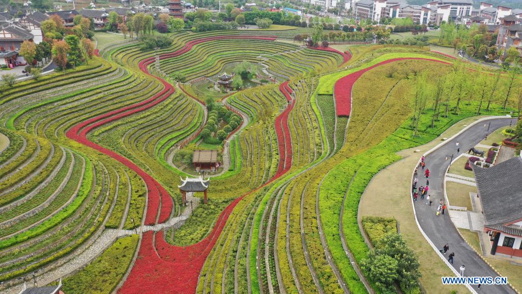 Aerial photo taken on April 14, 2021 shows tourists visiting terraced fields in Shexiang ancient town in Dafang County of Bijie, southwest China's Guizhou Province. (Xinhua/Yang Ying)