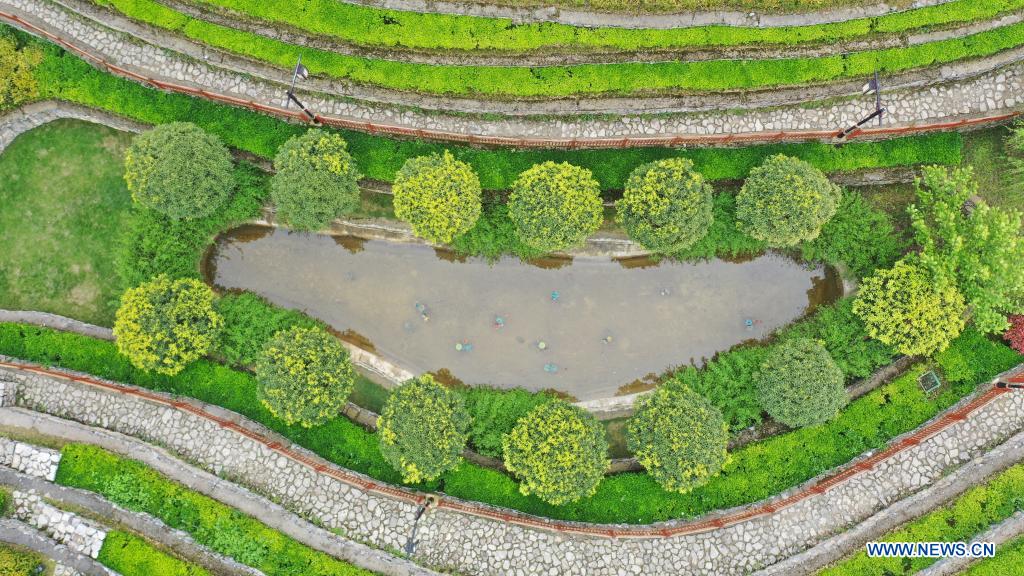 Aerial photo taken on April 14, 2021 shows the spring scenery of terraced fields in Shexiang ancient town in Dafang County of Bijie, southwest China's Guizhou Province. (Xinhua/Yang Ying)