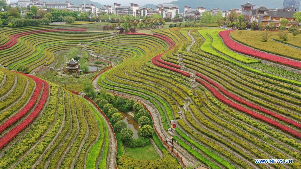 Aerial photo taken on April 14, 2021 shows the spring scenery of terraced fields in Shexiang ancient town in Dafang County of Bijie, southwest China's Guizhou Province. (Xinhua/Yang Ying)