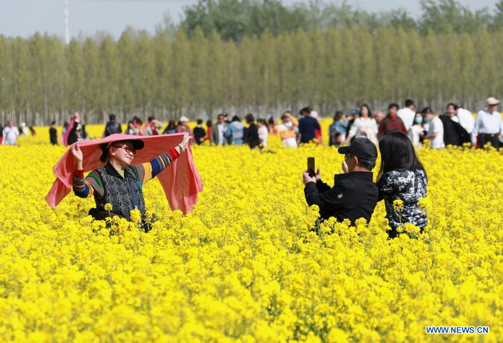 Tourists have fun at a cole flower field in Lincheng Village of Gu'an County, north China's Hebei Province, April 14, 2021. (Xinhua/Wang Xiao)