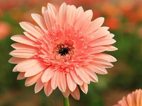 汽车日常保养是否科学合理？看看本文就知道了！