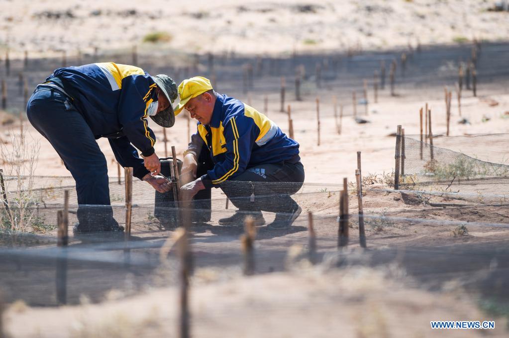 Workers make grids to contain the moving sand dunes along Linhe-Ceke railway in north China's Inner Mongolia Autonomous Region, April 14, 2021. With a total length of 768 kilometers, the Linhe-Ceke railway is one of the important junctions connecting Mongolia and China. Two passenger trains and nearly 40 freight trains run on it every day. In order to control the sand damage, eleven sand control stations have been set up along the Linhe-Ceke railway that traverses more than 400 kilometers of desert. The railway sand control workers are stationed here all year round to prevent the accumulation of quicksand on the railway lines and ensure the smooth railway transportation. (Xinhua/Lian Zhen)