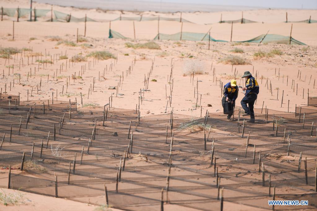 Workers make grids to contain the moving sand dunes along Linhe-Ceke railway in north China's Inner Mongolia Autonomous Region, April 14, 2021. With a total length of 768 kilometers, the Linhe-Ceke railway is one of the important junctions connecting Mongolia and China. Two passenger trains and nearly 40 freight trains run on it every day. In order to control the sand damage, eleven sand control stations have been set up along the Linhe-Ceke railway that traverses more than 400 kilometers of desert. The railway sand control workers are stationed here all year round to prevent the accumulation of quicksand on the railway lines and ensure the smooth railway transportation. (Xinhua/Lian Zhen)