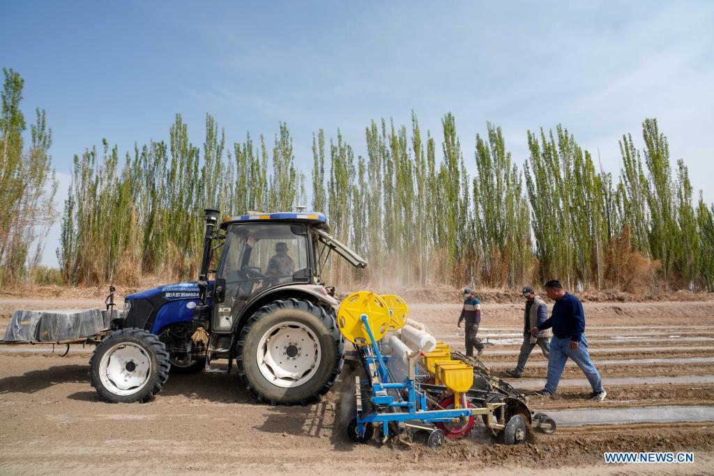 Cotton farmer Dilshat Memet (1st R) and employees have a discussion on film mulching sower efficiency in a cotton field in Tungqeka Village of Xingping Township, Yuli County, Bayingolin Mongolian Autonomous Prefecture, northwest China's Xinjiang Uygur Autonomous Region, April 13, 2021. When he graduated from Xinjiang University of Finance and Economics in 2012, Dilshat Memet decided to invest in cotton planting in his hometown Yuli County. Although there was also a job offer as public servant in a nearby town, the prospects of cotton business sounded more appealing to Dilshat, who now owns a cotton farm with an area of about 66 hectares. Contrary to what some have pictured as a labor-intensive trade, modern cotton production in Xinjiang has largely been mechanized. In Dilshat's case, large cotton harvesters have been put to use since 2017, whereas film mulching seeders were already introduced on cotton fields run by his relatives more than a decade ago. 