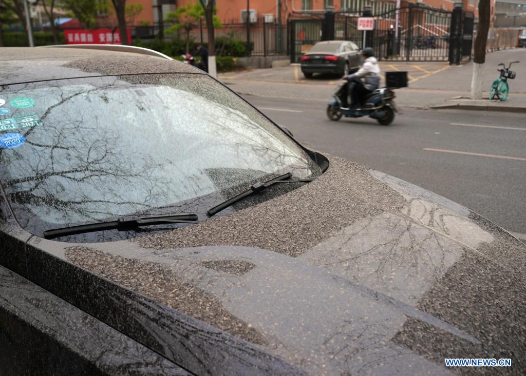 A car is covered in dust and dirt in Xicheng District of Beijing, capital of China, April 15, 2021. China's national observatory on Wednesday issued a blue alert for sandstorms in the northern part of the country. (Xinhua/Zhang Chenlin)