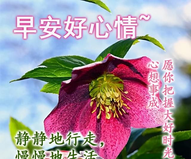 2021年春天早安图片,早安图片2021新图片 2021年早安心语,早上好祝福词句图片精选,早安!