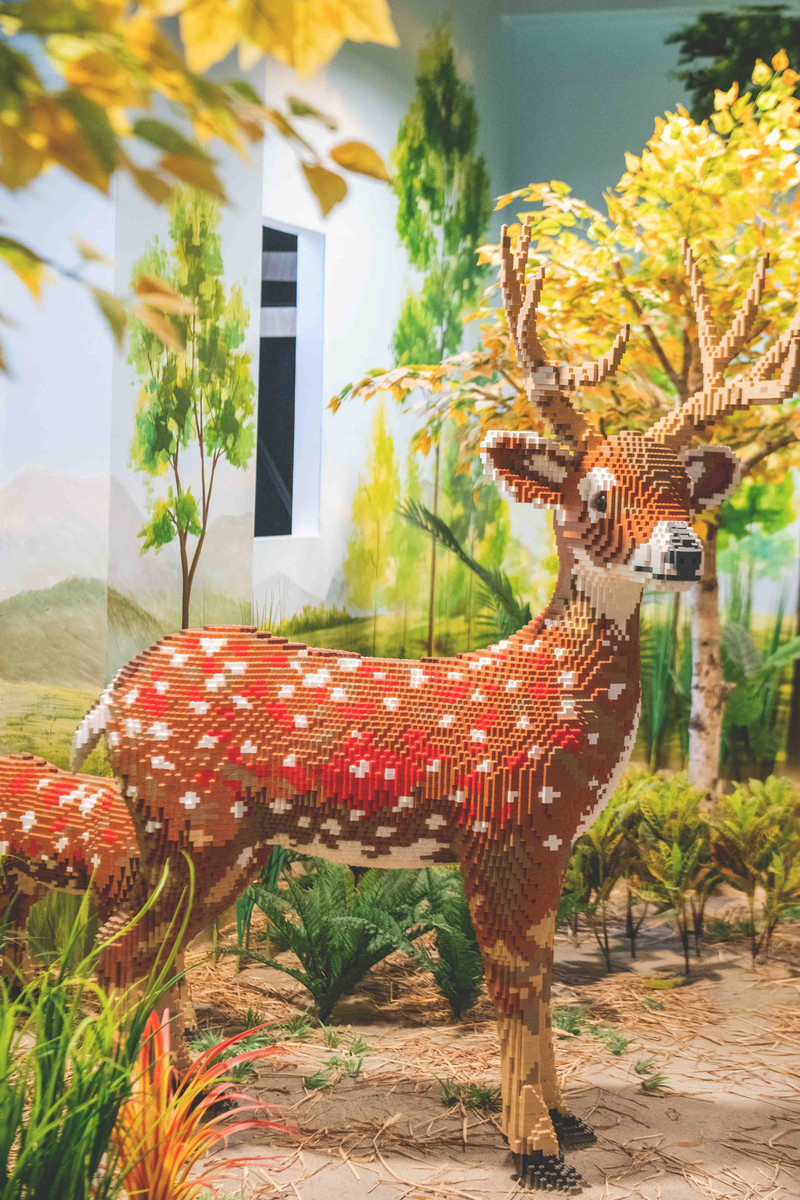 大梦探索乐园是深圳第一家拿了吉尼斯纪录的乐园，夏日亲子游好去