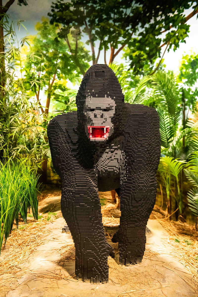 大梦探索乐园是深圳第一家拿了吉尼斯纪录的乐园，夏日亲子游好去