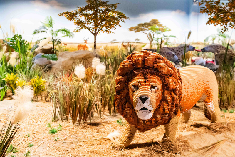 大梦探索乐园是深圳第一家拿了吉尼斯纪录的乐园，夏日亲子游好去