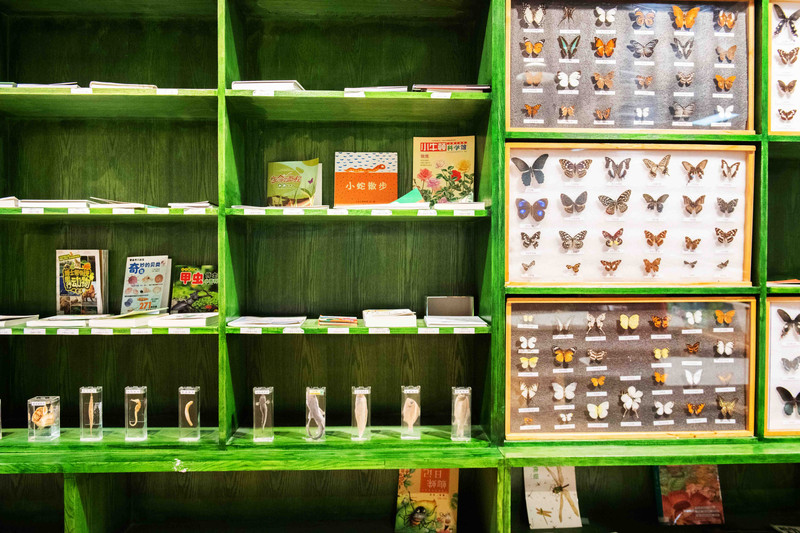 大梦探索乐园是深圳第一家拿了吉尼斯纪录的乐园，夏日亲子游好去