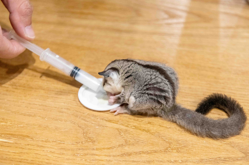 大梦探索乐园是深圳第一家拿了吉尼斯纪录的乐园，夏日亲子游好去