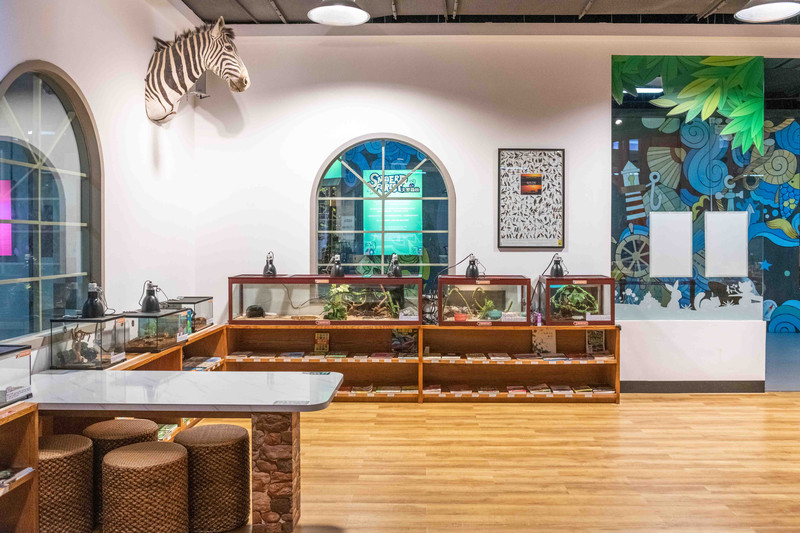 大梦探索乐园是深圳第一家拿了吉尼斯纪录的乐园，夏日亲子游好去