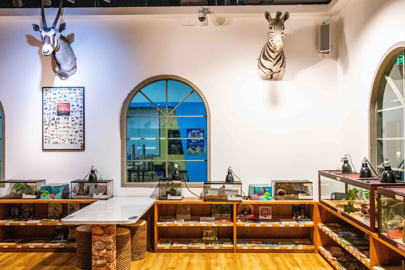 大梦探索乐园是深圳第一家拿了吉尼斯纪录的乐园，夏日亲子游好去