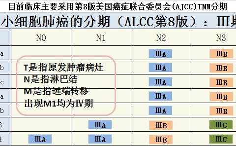 Ⅳ期已出现远处器官转移的为晚期肺癌;处在中间的分期——Ⅲ期,癌细胞