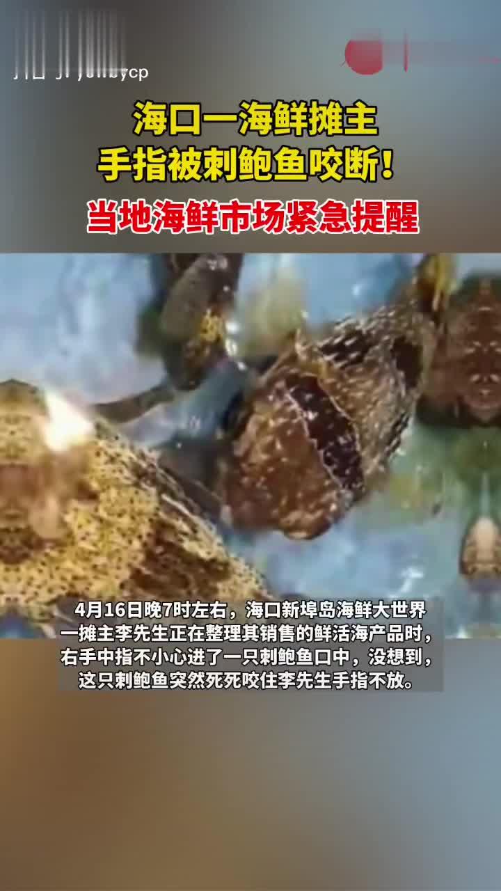 海口一海鲜摊主手指被刺鲍鱼咬断!当地海鲜市场紧急提醒