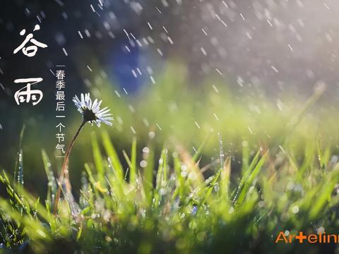 谷雨时节，告别春日