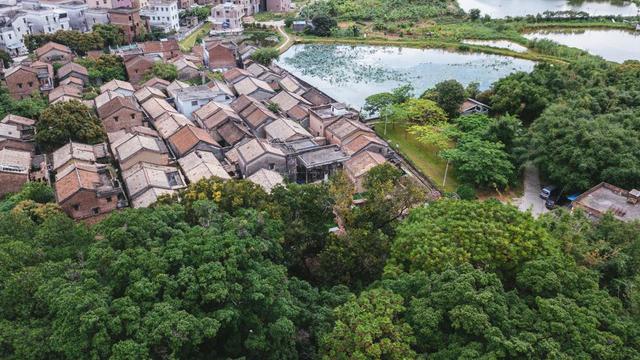 充满古韵的东莞南社古村，想看明星古剑术一定要来这里