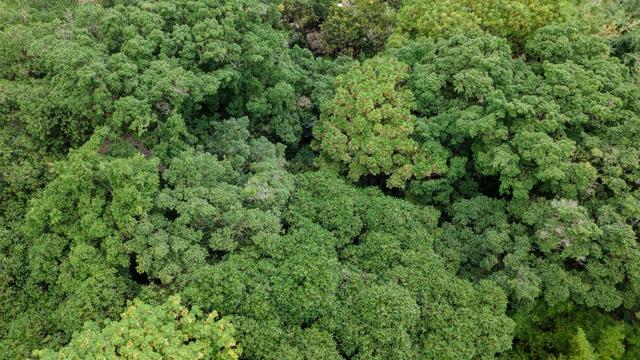 充满古韵的东莞南社古村，想看明星古剑术一定要来这里