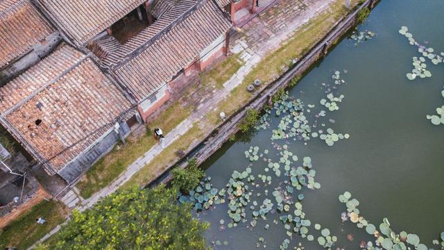 充满古韵的东莞南社古村，想看明星古剑术一定要来这里
