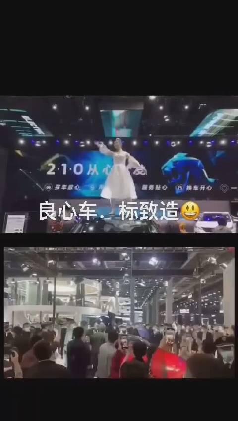 这届上海车展的关键词——车顶……