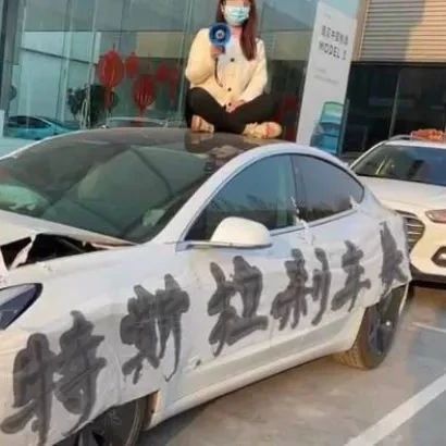到底是谁，把特斯拉女车主逼上车顶？