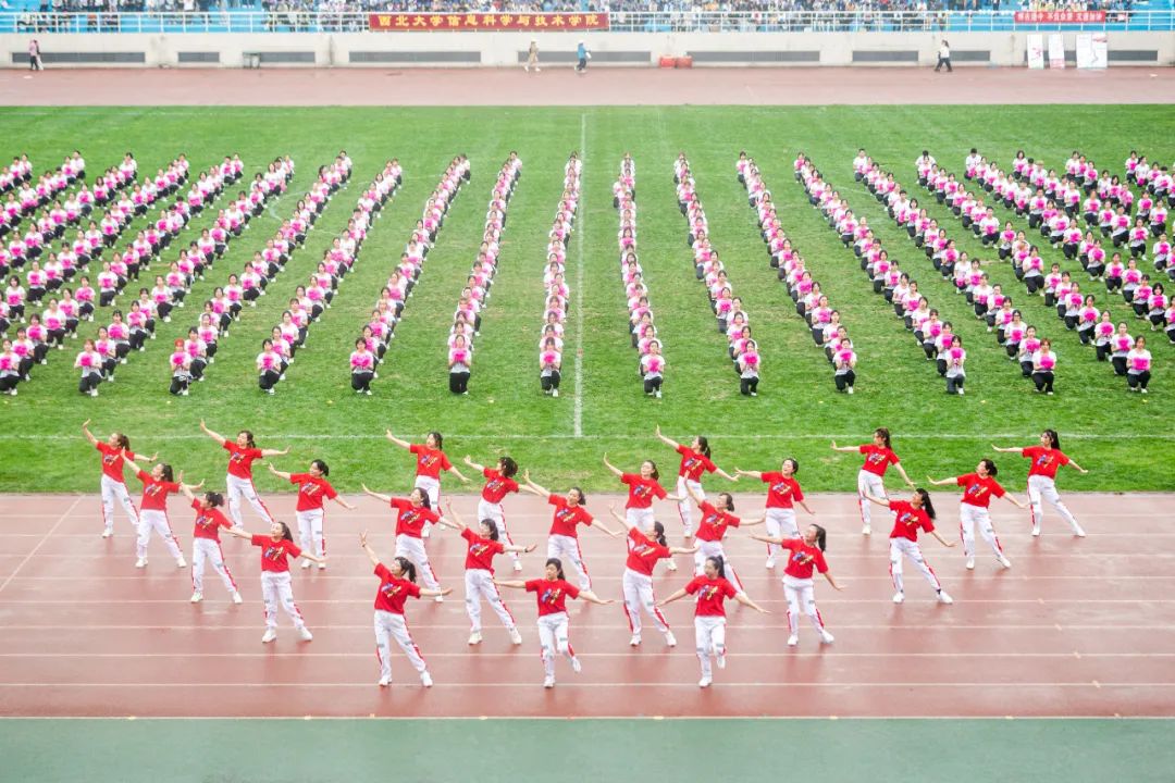 久违了!西北大学2021年体育文化节开幕式十大看点