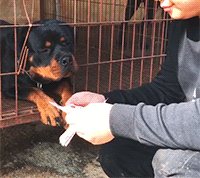 看完2021苹果发布会,100%的设计师都哭了!休闲区蓝鸢梦想 - Www.slyday.coM 看完2021苹果发布会,100%的设计师都哭了!休闲区蓝鸢梦想 - Www.slyday.coM