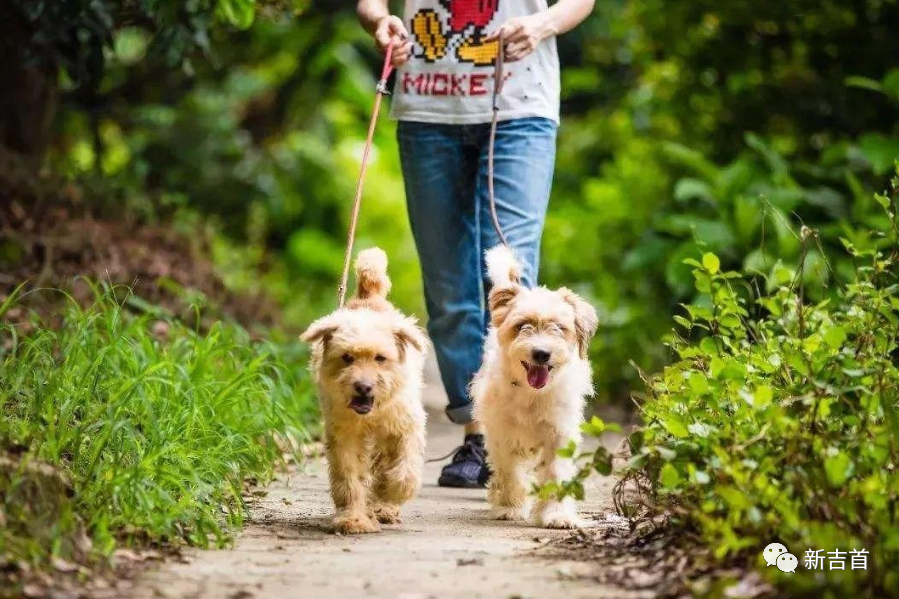 实用指南:如何通过正规渠道找到靠谱的接单女性服务者