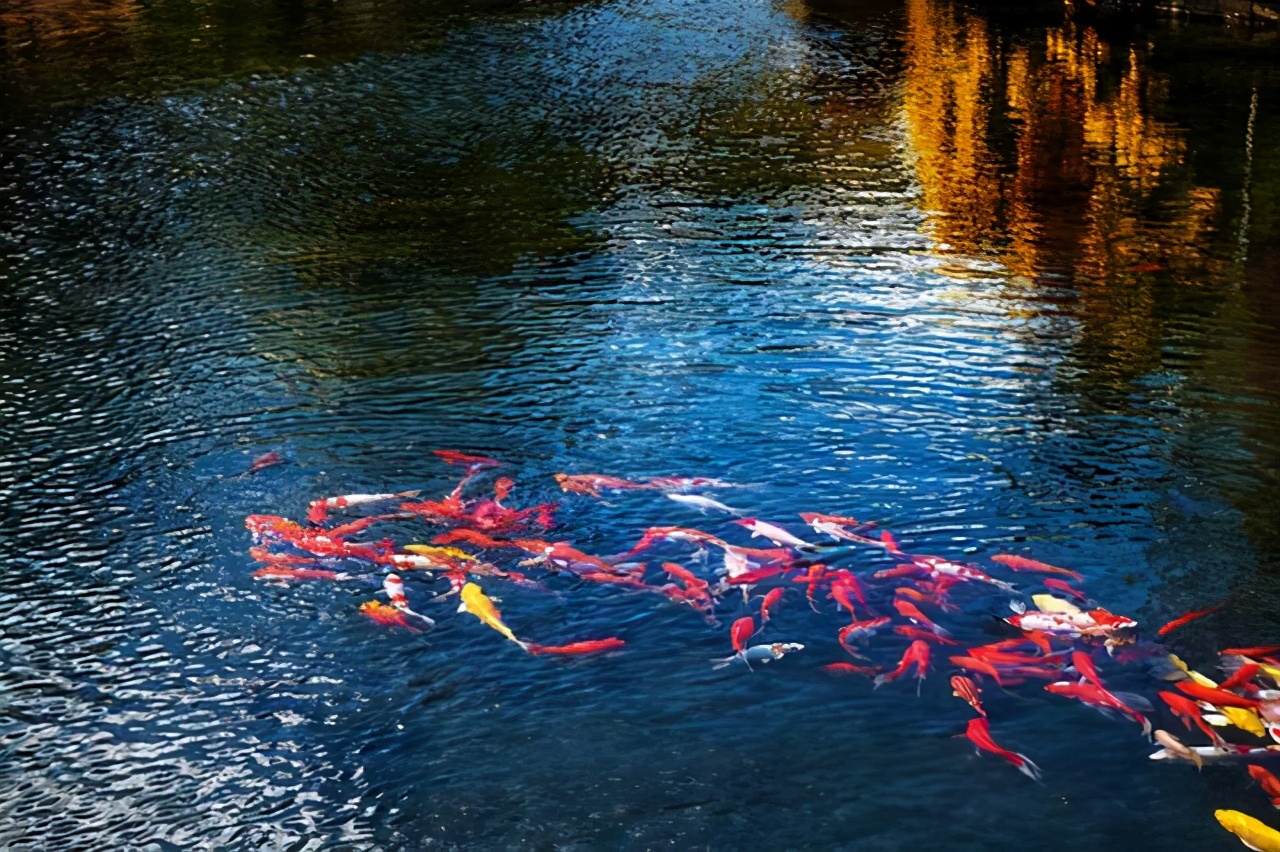 束河一个高峰之下的村寨，四季都很美，是云南超值得打卡的文艺地