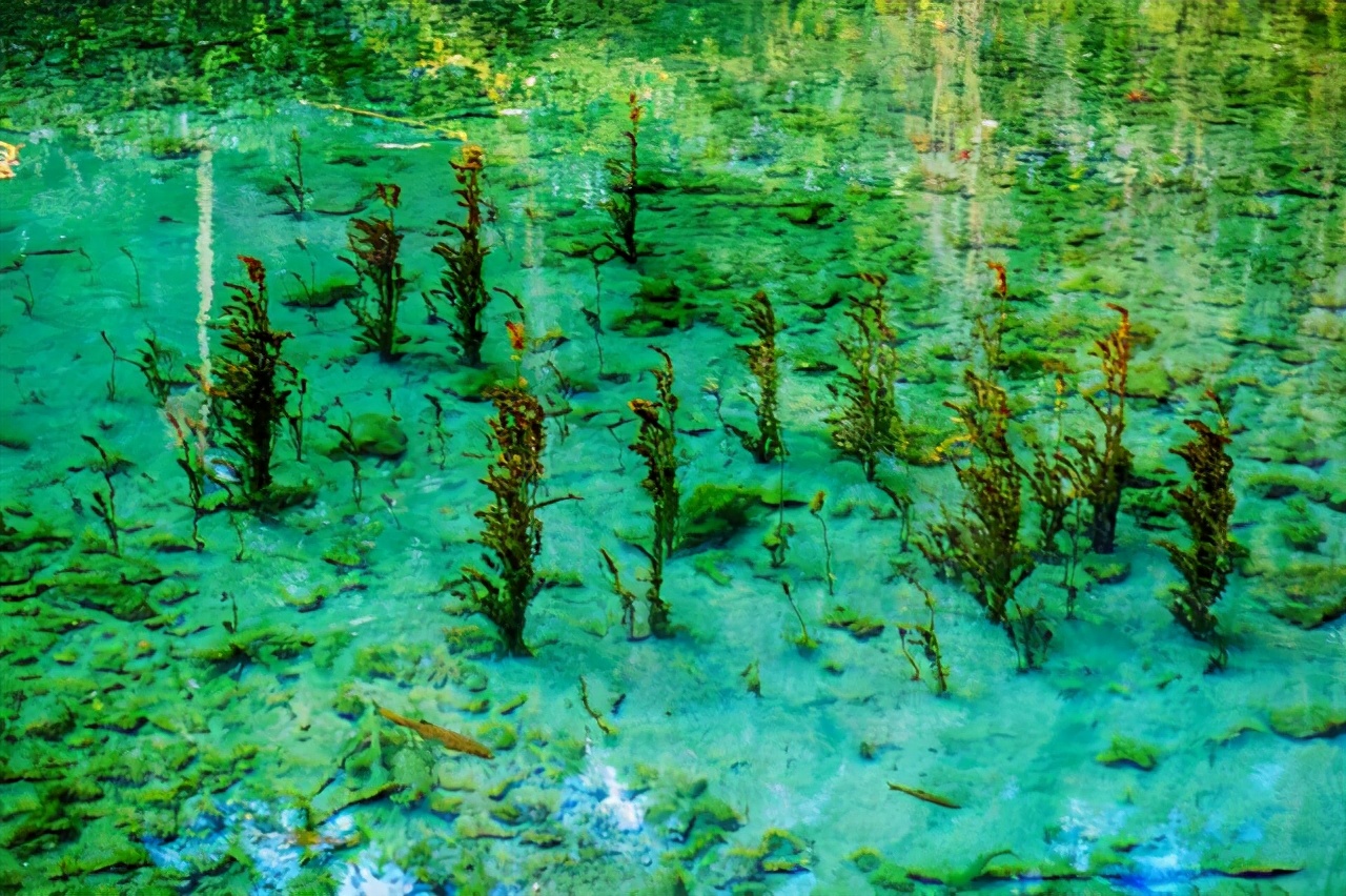 束河一个高峰之下的村寨，四季都很美，是云南超值得打卡的文艺地