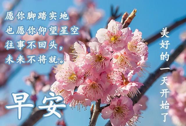 早安最美图片2021秋季,2021早安最美图片 深入人心的早安问候经典语录 2021最美早安问候图片
