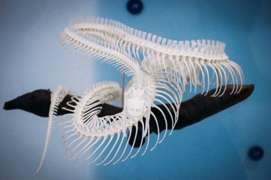 光速绝对性原理 宇宙光速传播奥秘