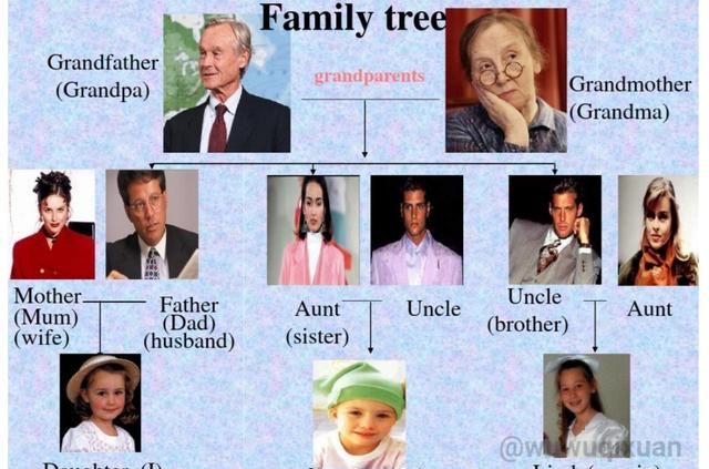 familytree是什么意思,familytree的意思 familytree别理解成家里的树