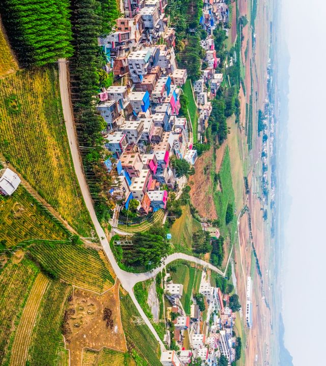 来宾女人找鸭子是在上面还是下面