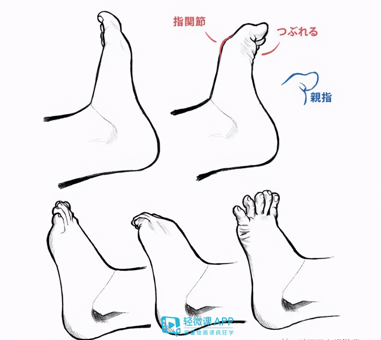 漫画人物脚部怎么画？脚的结构画法！|画法|脚趾|脚踝_新浪新闻