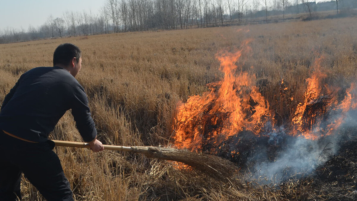 什么是秸秆堆肥