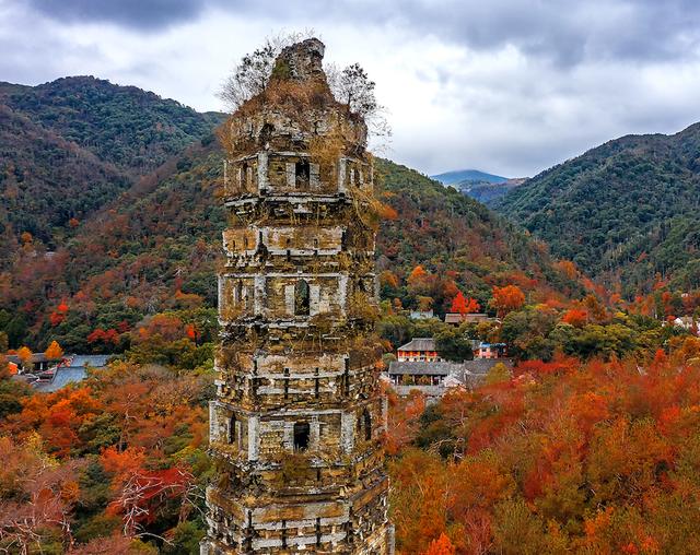 国清寺的镇寺之宝——隋代佛塔。视觉中国图